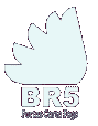 BR5 Portas Corta Fogo